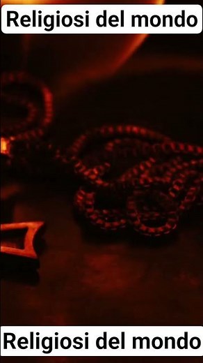 Nella Bibbia, in effetti, non viene descritto il gesto del segno della croce come lo...