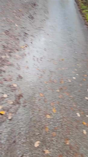 🚚💙 One of our biggest moves to date! A 4-day full house move from Shropshire (near Craven Arms & Ludlow) all the way down to Reading — completed using an 18-tonne truck 3 Luton vans, with a full packing service included 📦 Big moves like this take serious planning, teamwork, and care — and the boys in blue delivered from start to finish. 👉 Moving long-distance? Get your free fixed-price quote: www.newmovesremovals.co.uk/quote #ShropshireRemovals #LudlowRemovals #CravenArmsRemovals #LongDistan