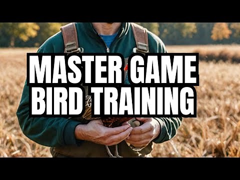 Master Bird Placement For Dog Training in 3 Minutes!
