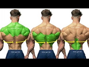 Build a Bigger & Wider Back Fast | Follow These Powerful Exercises