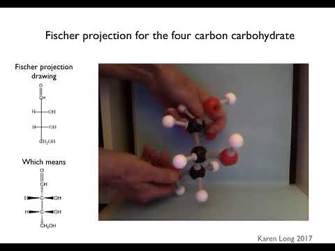 Visualizing Fischer Projections