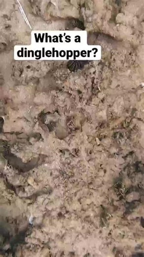 TikTok · Shanger danger