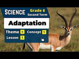 Adaptation | Grade 6 | Unit 4 - Concept 1 - Lesson 1 | Science