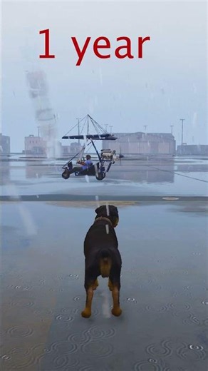 GTA5:shin chan loves Dogs true friendship #gta #franklin #dogslove