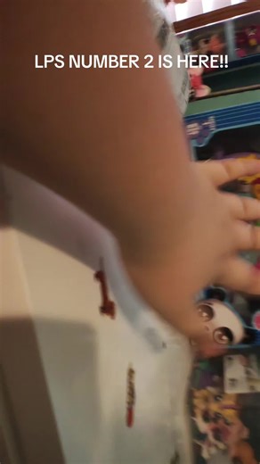 Unboxing LPS Number 2: Your Favorite Toy Reveal!