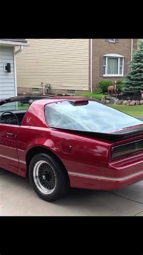 1986 Pontiac Trans Am Review: Power and Performance