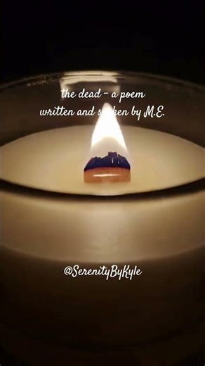 the dead, a poem by M.E. #poetry #shorts #spokenword #calm #me #poem #zen #peace #selfreflection