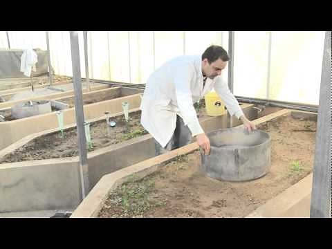 How to use the double-ring infiltrometer. © UPV