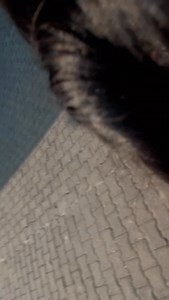 @itspreetijaatni | Preeti Chaudhary