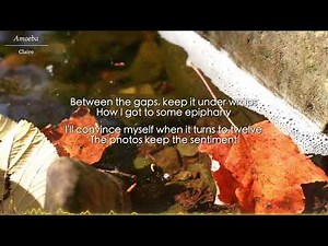 Amoeba - Clairo (Lyrics)