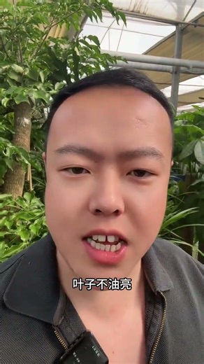 Ultimate Flower Growing Guide for Beginners