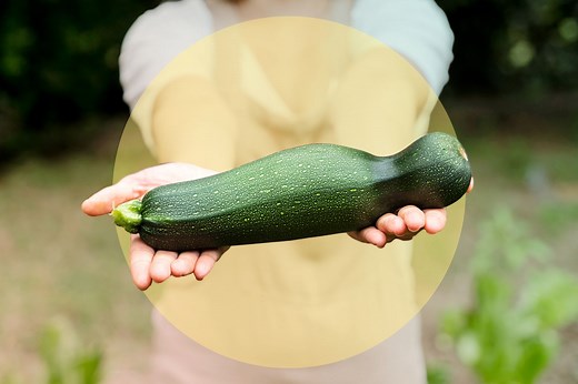 How to Store Zucchini So It Lasts