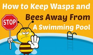 How to Keep Bees and Wasps Away From a Pool