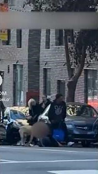 San Francisco looks to strengthen dog safety protocols after brutal attack