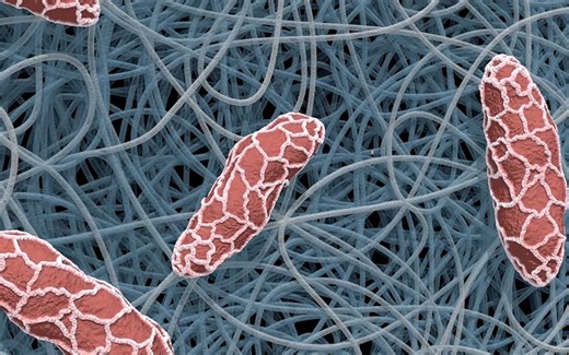 动画科普：纳米纤维 阻挡细菌和病毒 是医用口罩防护服的可靠材料