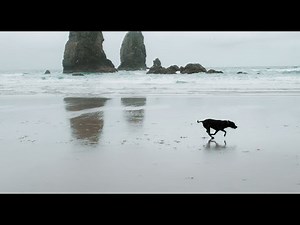 Hip-Hop&Rap Chillout Beat, Vlogs [No Copyright Sound] [ FREE USE MUSIC ] - NamoRashedBeats - Rehab