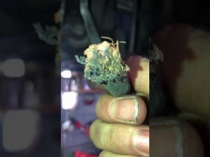 2008 BMW 535xi ground wire problem