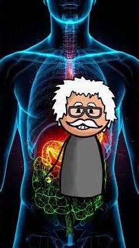 Can Your Stomach Dissolve METAL?