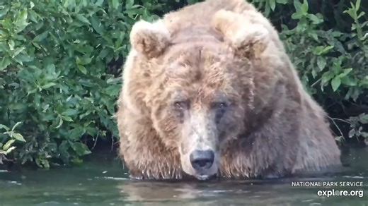 5.6K views · 161 reactions | 856 back from a short walkabout...