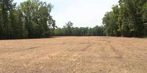 Community members oppose townhouse development in works for Knightsville