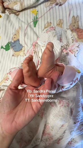 sandyyreborns (@sandyyreborns)’s video of adopt