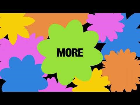 How Bloomerang Helps Nonprofits Turn Donor Insights Into More Fundraising Impact