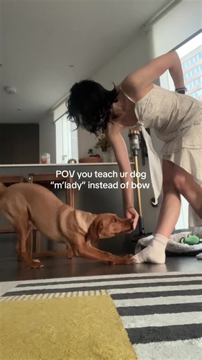 Teaching Your Dog to Bow: A Heartwarming Trick