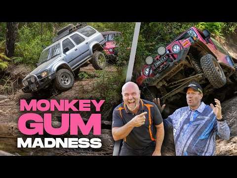 Monkey Gum 4x4 Mayhem! 😱 The FINAL Test for Our Budget Builds