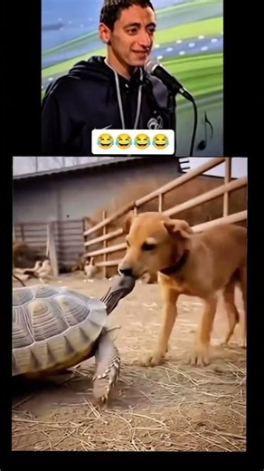 Funny video funny video short funny video comedy #comedy😂🤣 #funny#fun