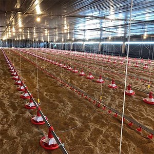 [Hot Item] Elegant White Feathered Chicken Coop for Urban Backyard Farming