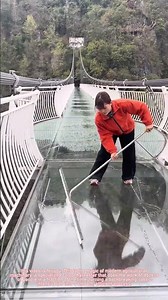 Modern Carrot Harvester Machine: Full Process of Mechanical Harvesting