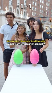 Only a Genius Can Answer All of These Questions Correctly | Extra Medium Stuff