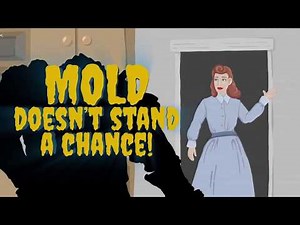 Eliminate Mold in Your Dishwasher, Washing Machine and Refrigerator