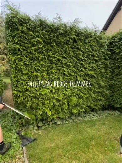 Satisfying Hedge Trimmer for Your Garden Design