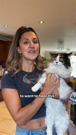 67K views · 3 comments | UK's Highest Protein Cat Food數 60p A Can £8.50 Trial Box⭐ | Fuzzball | Facebook