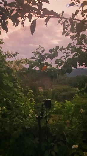 5K views · 302 reactions | Max Jackson on Reels | Facebook