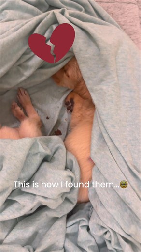 Hannah Martin on Reels