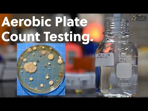 Aerobic Plate Count Testing - Introduction