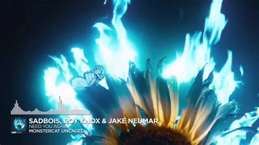 Sadbois, ROY KNOX & Jake Neumar - Need You Again [Dubstep | Monstercat Remake]