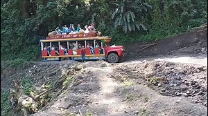 Colorful Open-Air Bus Adventure in Nature