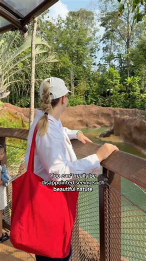 Visit Rainforest Wild Adventure (East) 🐒🐅 #singaporezoo