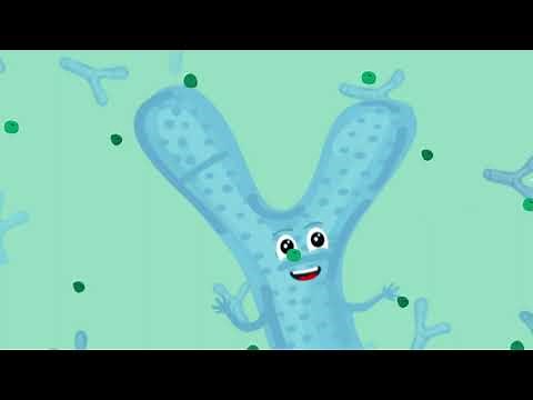 Probiotics vs Prebiotics: What's the Difference?