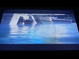 Finding Nemo Pelicans