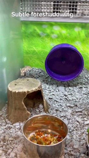 Subtle foreshadowing