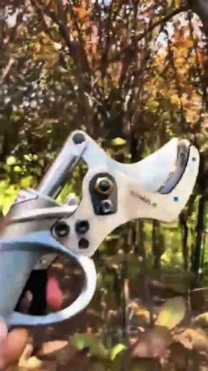 Sharp Pruning Shears Cutting Tree Branches | Satisfying Garden Work#PruningShears #GardenTools