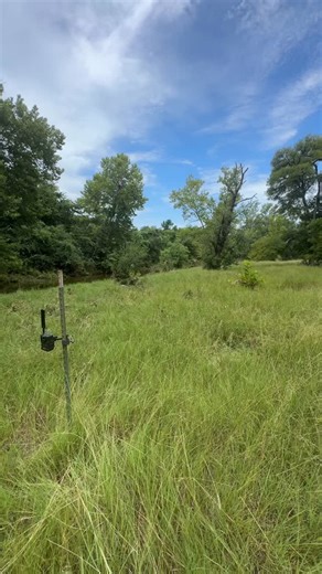 40 reactions | Rivers, creeks and streams act as travel corridors for...