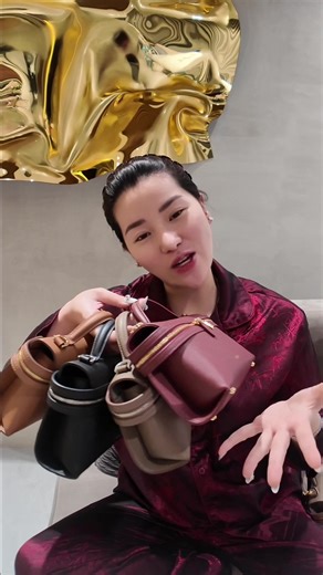 Mini Larry Bag: Features and What Fits Inside