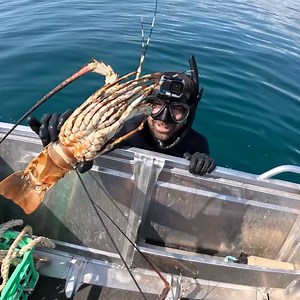 24K views · 520 reactions | Catching Fish For Mum | Back 2 Basics Adventures | Facebook