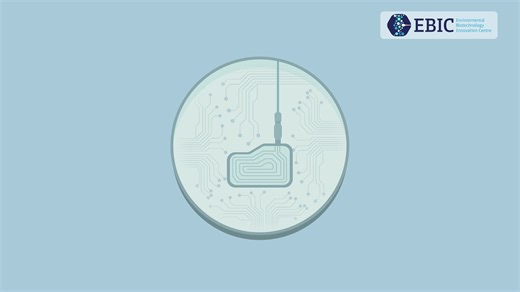 How can Engineering Biology help clean up the environment? 🌏 EBIC (The Environmental Biotechnology Innovation Centre) is a world-class interdisciplinary engineering biology research hub. EBIC aims to enable the responsible and safe scale up of cutting-edge techniques including synthetic biology, biotechnology, computation modelling, and engineering science. In this animation, we explore how EBIC is developing innovative environmental solutions in bioengineering and bioremediation, focusing on w
