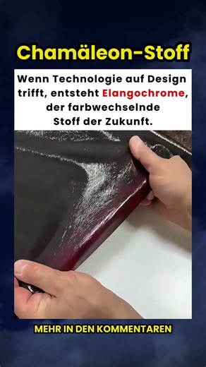 Elangochrome: Der farbwechselnde Stoff, der die Zukunft der Mode gestaltet! 🤯🧬✨